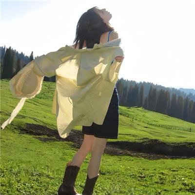 漂亮马驹
